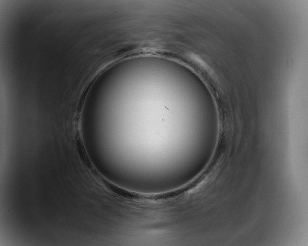 X0000088661361200705251514