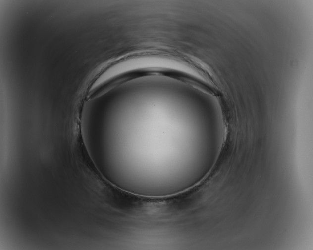 X0000088661363200705251514