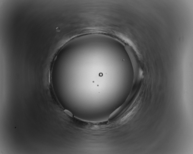 X0000088661365200705251514