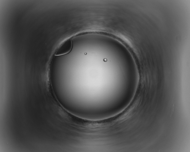 X0000088661366200705251514