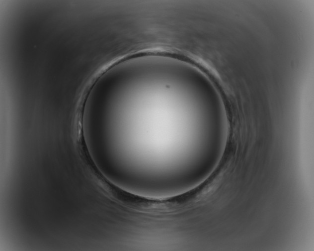 X0000088661367200705251514