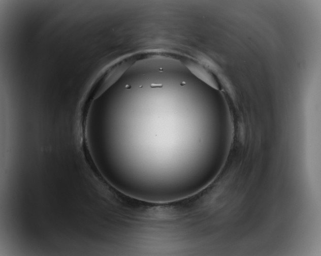 X0000088661368200705251514