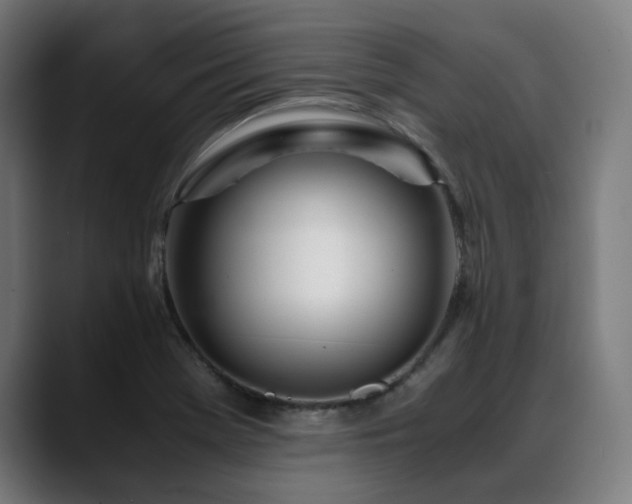 X0000088661369200705251514