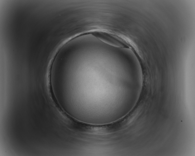 X0000088661375200705251513