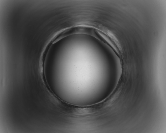 X0000088661376200705251513