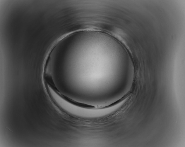 X0000088661379200705251513