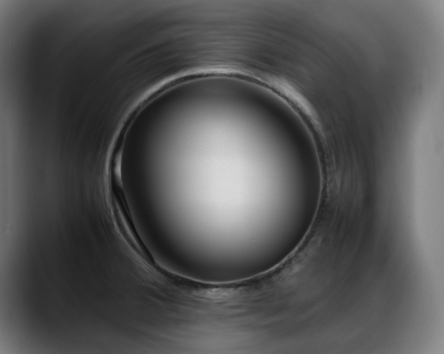 X0000088661380200705251513