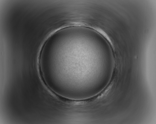 X0000088661381200705251513