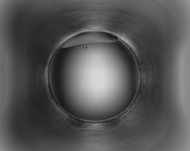 X0000088661382200705251513