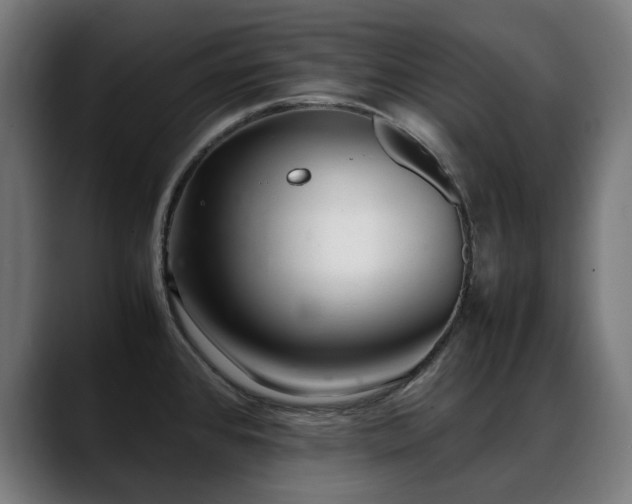 X0000088661384200705251513