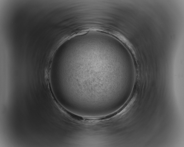 X0000088661385200705251513