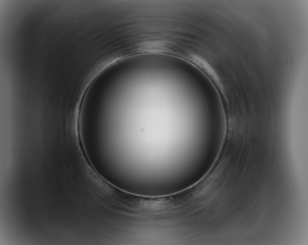 X0000088661386200705251513