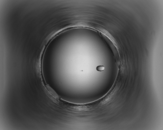 X0000088661388200705251513