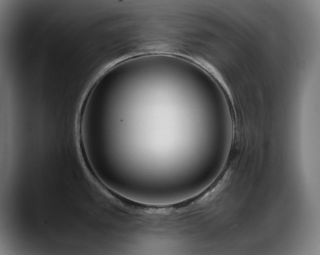 X0000088661389200705251513