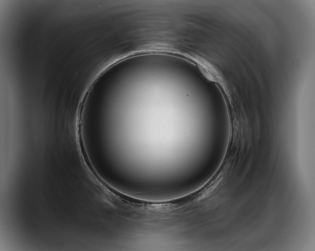 X0000088661390200705251513