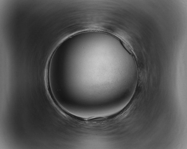 X0000088661391200705251513