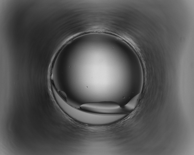 X0000088661392200705251513