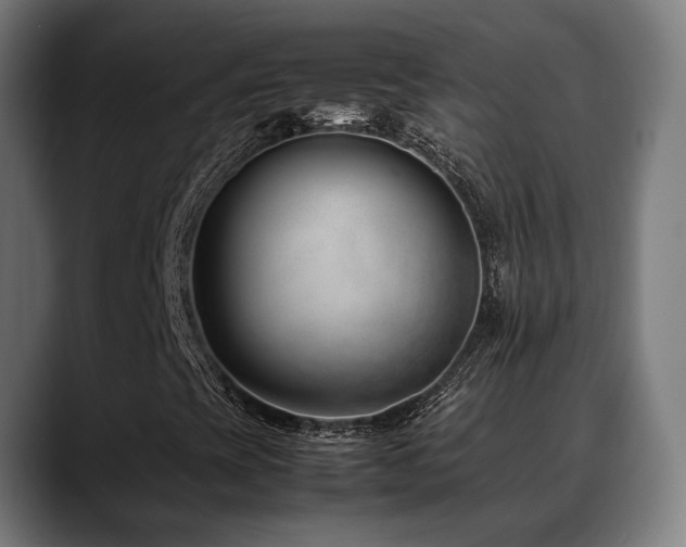 X0000088661393200705251513