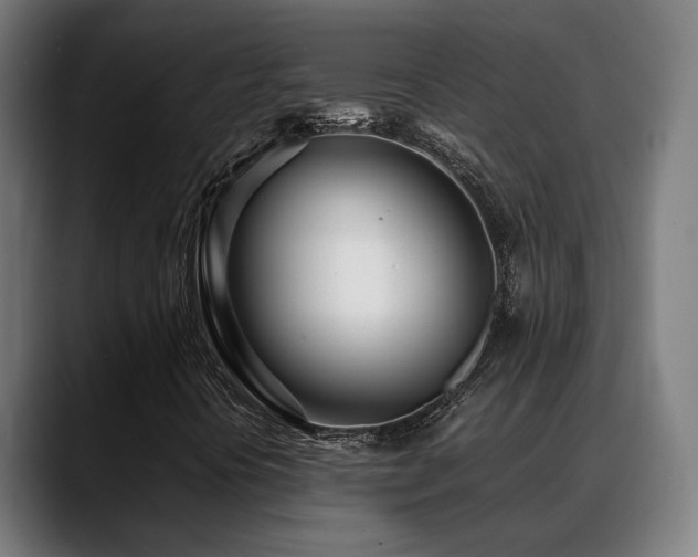 X0000088661394200705251513