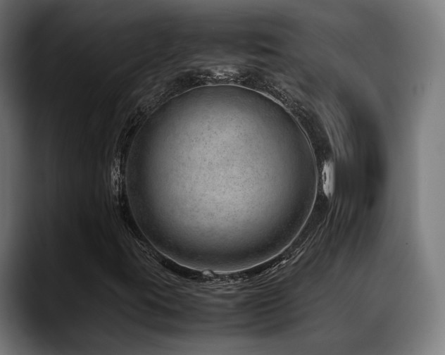 X0000088661395200705251513