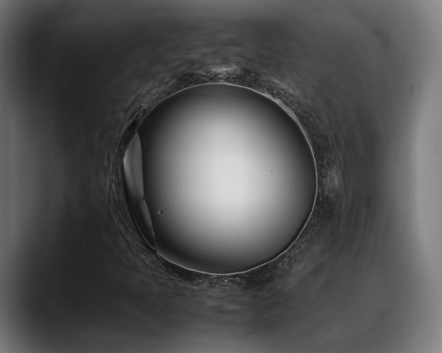 X0000088661397200705251513