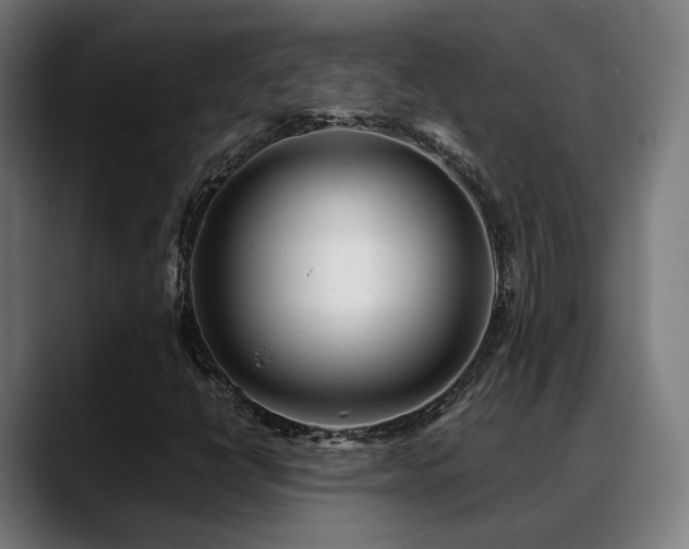 X0000088661398200705251513