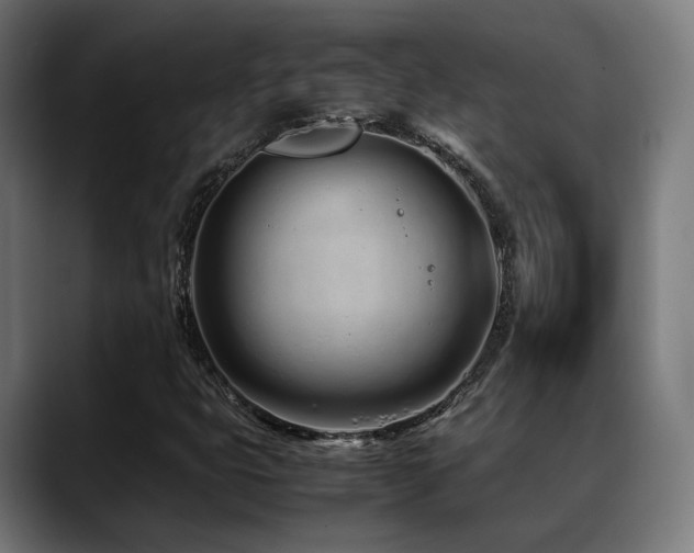 X0000088661399200705251513