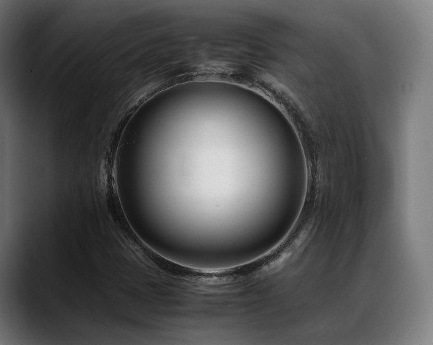 X0000088661401200705251513