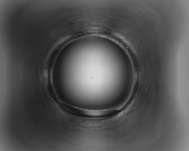 X0000088661402200705251513