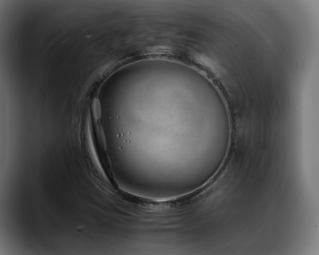 X0000088661403200705251513