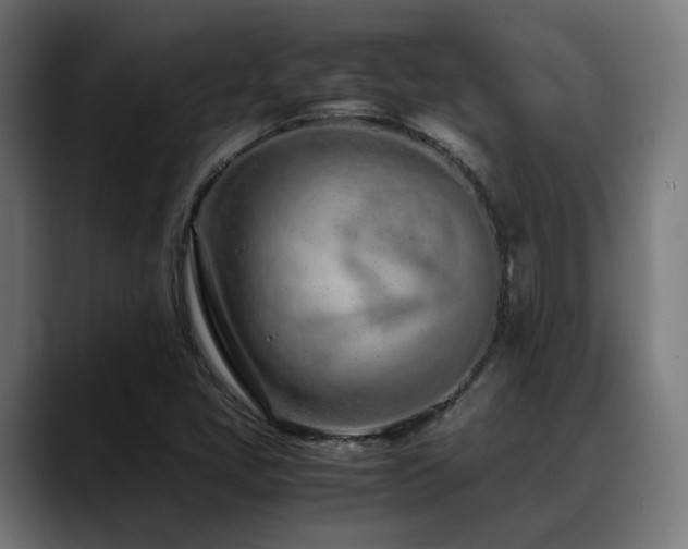 X0000088661405200705251513