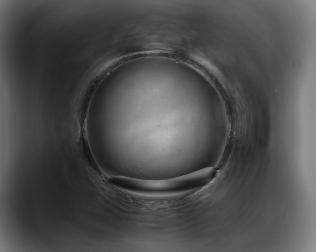 X0000088661407200705251513