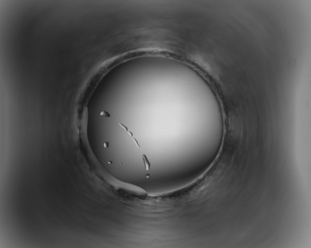 X0000088661408200705251513