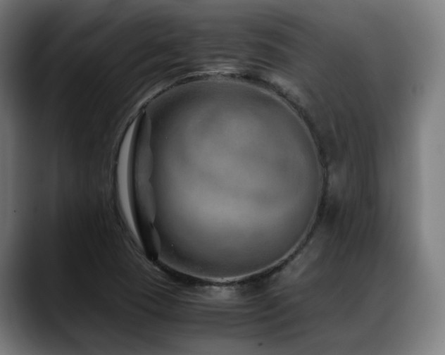 X0000088661409200705251513