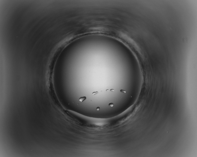 X0000088661411200705251513