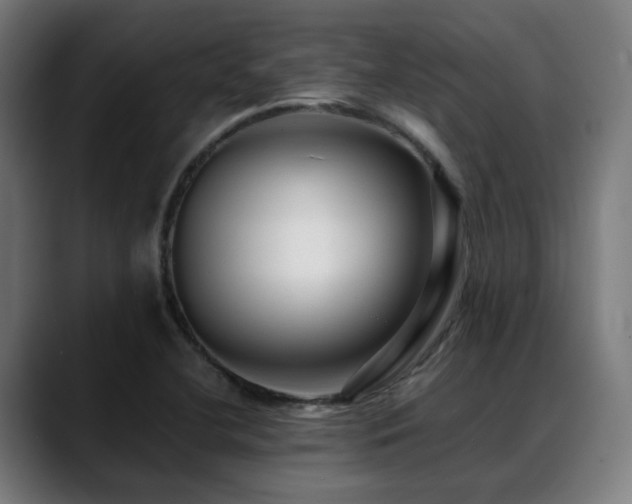 X0000088661412200705251513