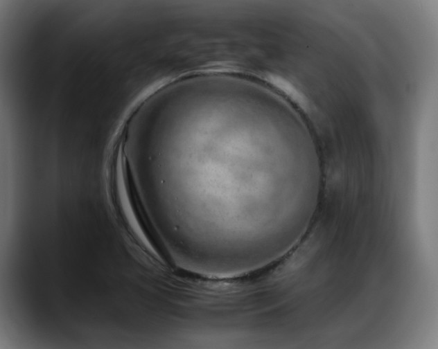 X0000088661413200705251513