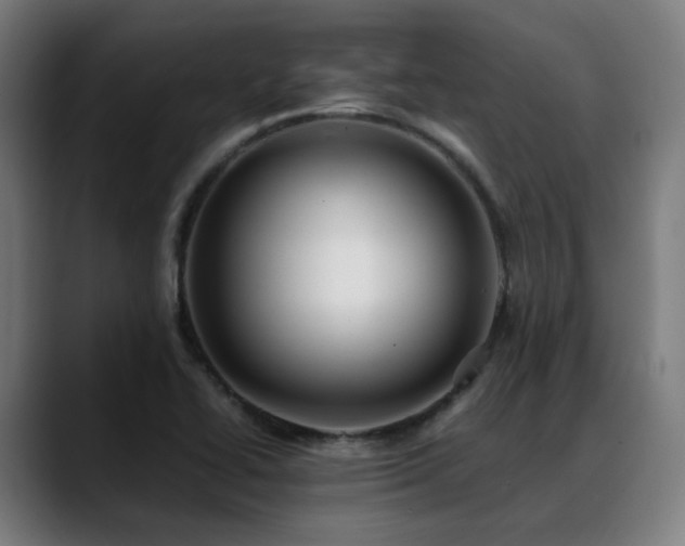 X0000088661414200705251513