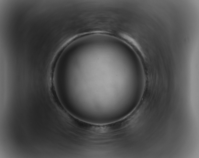 X0000088661415200705251513