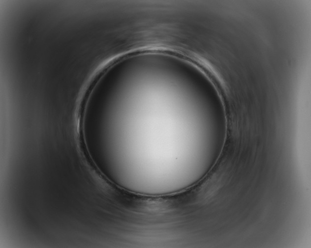 X0000088661416200705251513