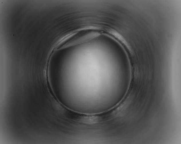 X0000088661417200705251513