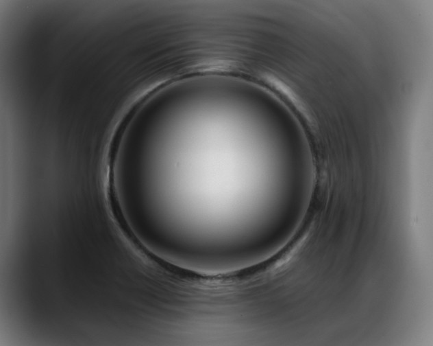 X0000088661418200705251513