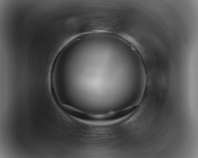 X0000088661423200705251513