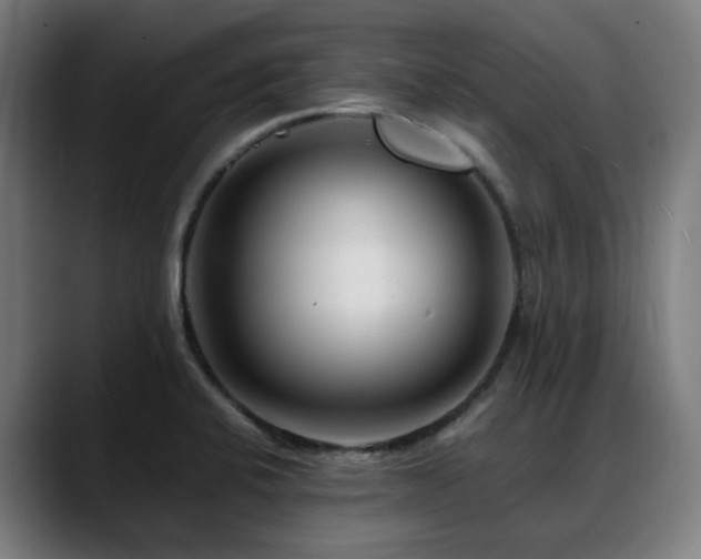 X0000088661424200705251513