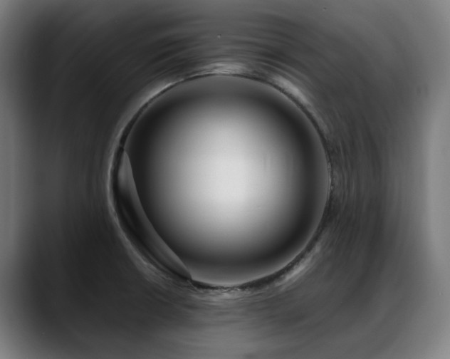 X0000088661426200705251513