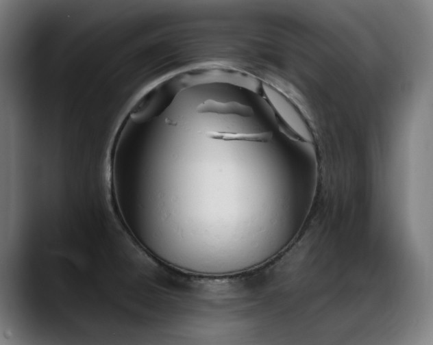 X0000088661428200705251513