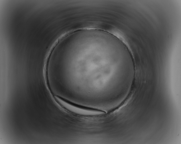 X0000088661429200705251513