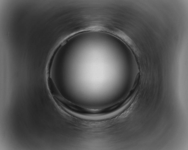 X0000088661430200705251513