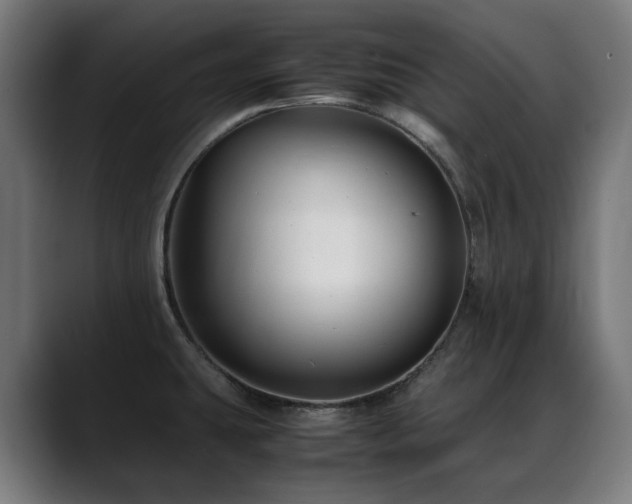 X0000088661431200705251513