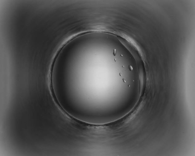 X0000088661432200705251513